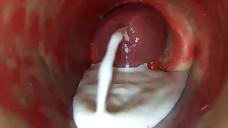 Sex Gay Porn 84